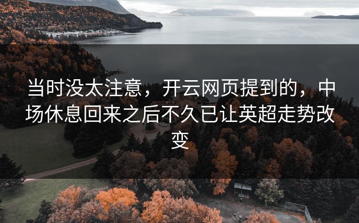当时没太注意，开云网页提到的，中场休息回来之后不久已让英超走势改变